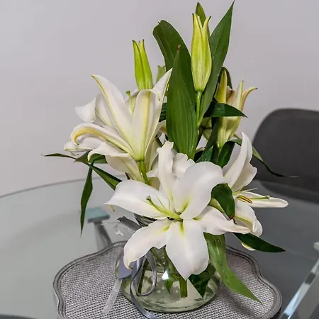 Knego With Parking Apartment Dubrovnik